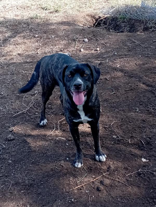 Gemma e Giada sorelline vivaci e allegrotte Foto 7